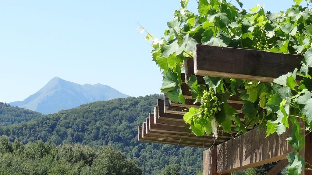 Gites Pyrenees Les Trois Montagnes Ganties Phòng bức ảnh
